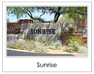 Sunrise Homes For Sale in Desert Mountain Scottsdale AZ